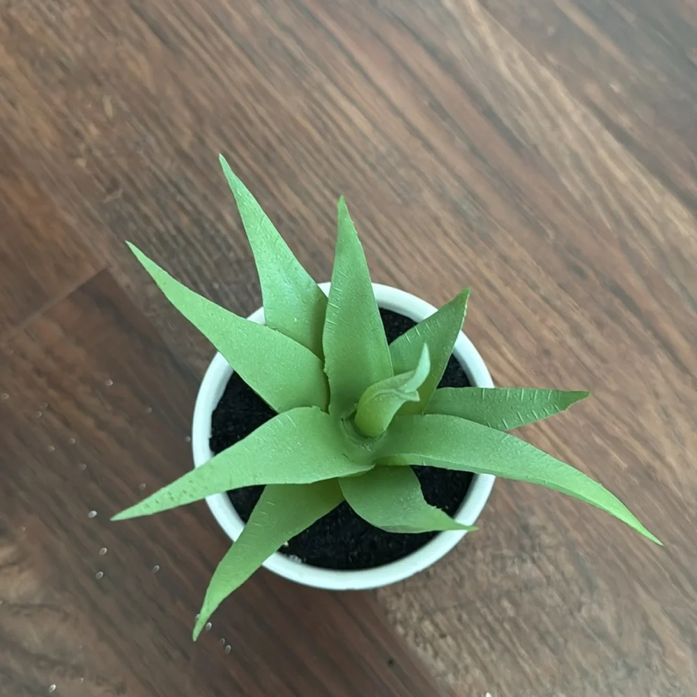 Design Group Faux Plant Size OS Color White Green Black